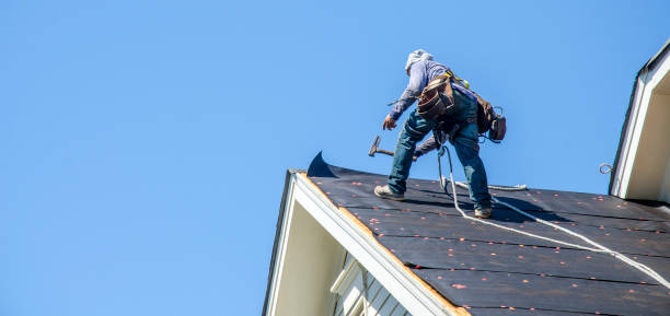 Best Roof Gutter Cleaning  in Kensett, AR